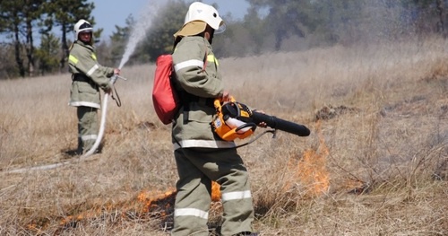 Тушение лесного пожара в Тарасовском районе осложняется сильным ветром, утверждают в МЧС. Фото: http://61.mchs.gov.ru/pressroom/news/item/710841