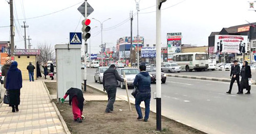 Субботник в Грозном. 13 марта 2017 г. Фото: Ибрагим Темирханов/ИА "Грозный-информ"