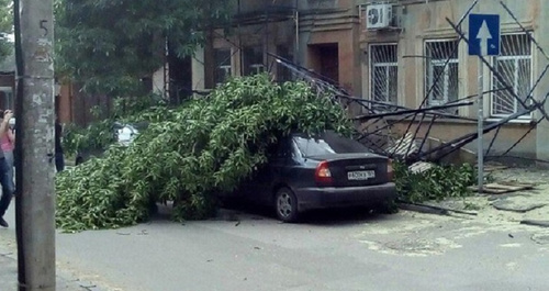 Упавшее дерево во дворе дома в Ростове-на-Дону. Фото из сообщества «Ростов Главный»/Vk.com