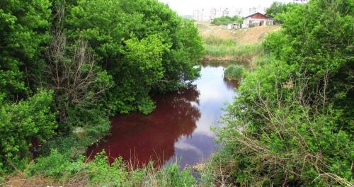 Озеро в Банном овраге, Волгоград. Фото Вячеслава Ященко для "Кавказского узла".