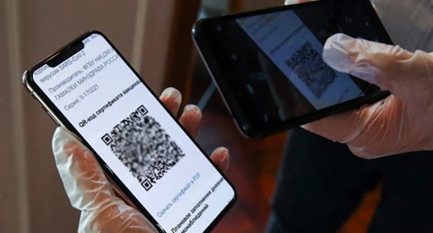 Телефон с изображением QR кода. Фото: официальный сайт "Минздрав РД" http://minzdravrd.ru/