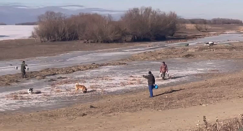 Жители села Зеленга набирают воду в реке. Стоп-кадр из видео https://vk.com/wall-137438927_3864