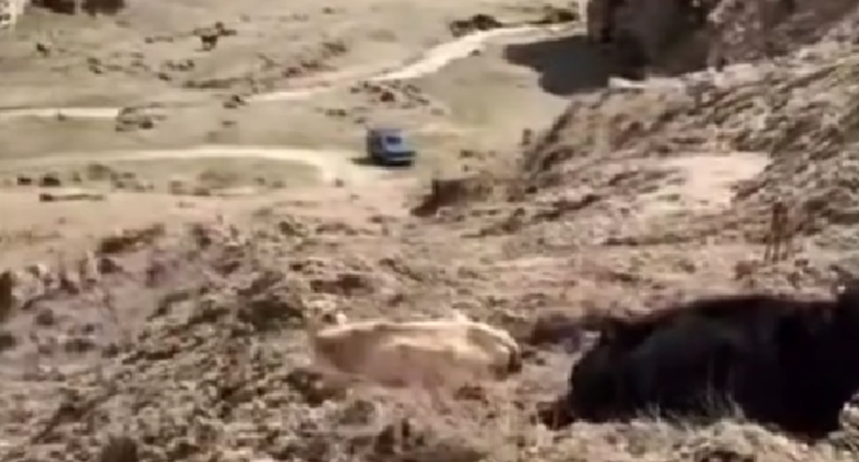 Заваленная дорога к селу Гуйми. Стоп-кадр видео https://www.instagram.com/p/DW_alk2DH5d/ (деятельность компании Meta, владеющей соцсетью, запрещена в России). Заваленная дорога к селу Гуйми. Стоп-кадр видео https://www.instagram.com/p/DW_alk2DH5d/ (деятельность компании Meta, владеющей соцсетью, запрещена в России).