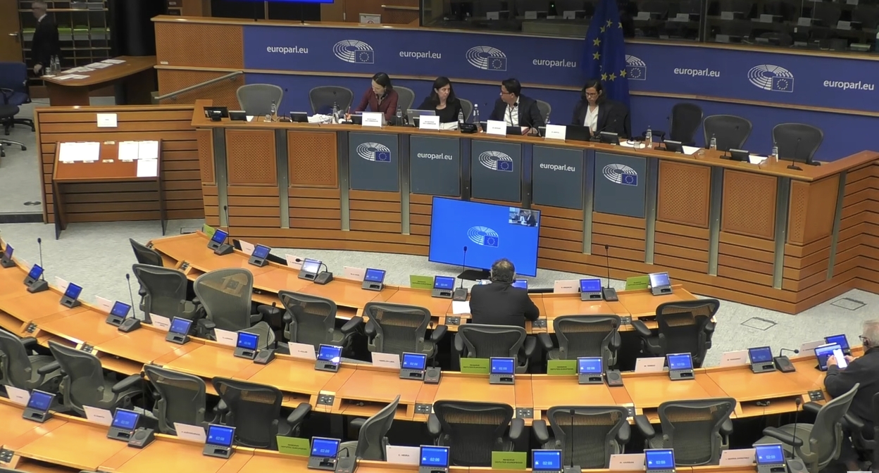 Слушания в подкомитете по правам человека Европейского парламента. Кадр видео Açıq Azərbaycan / YouTube Слушания в подкомитете по правам человека Европейского парламента. Кадр видео Açıq Azərbaycan / YouTube