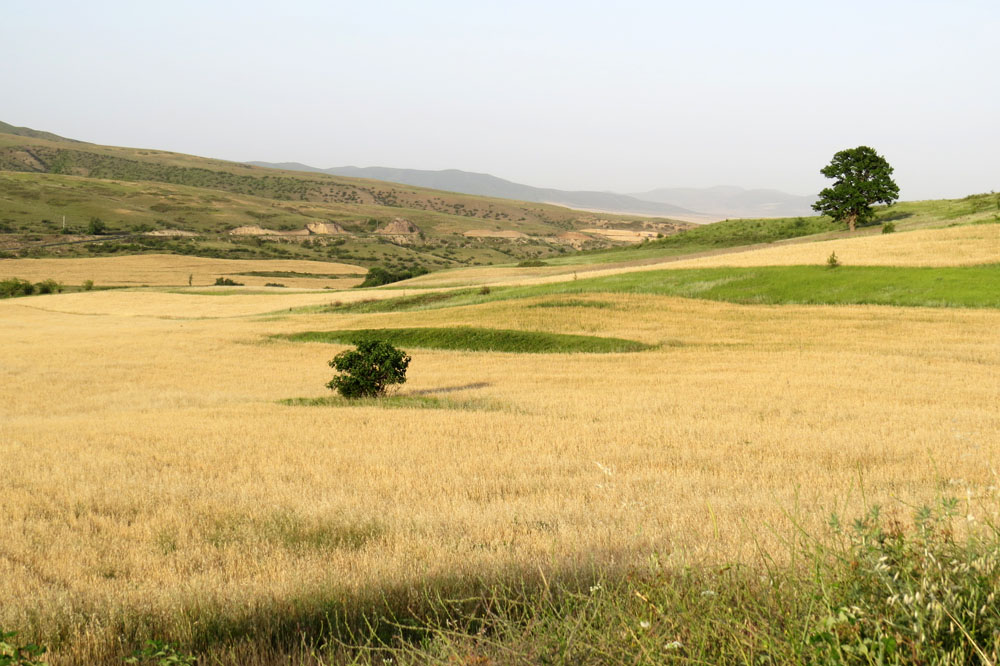 Летние зарисовки.