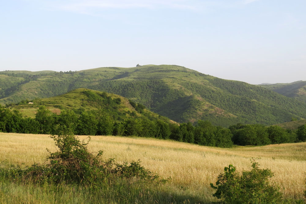 Летние зарисовки.