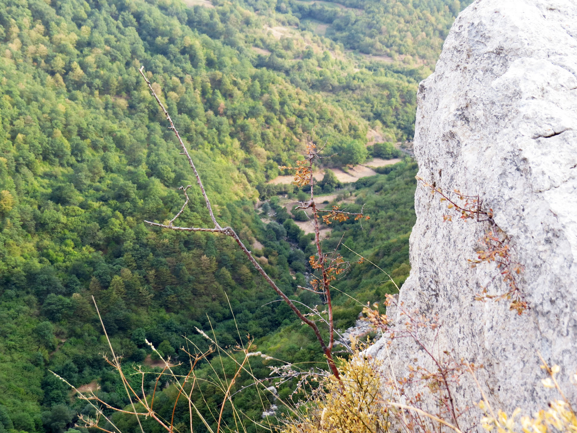 Последние летние фотозарисовки.